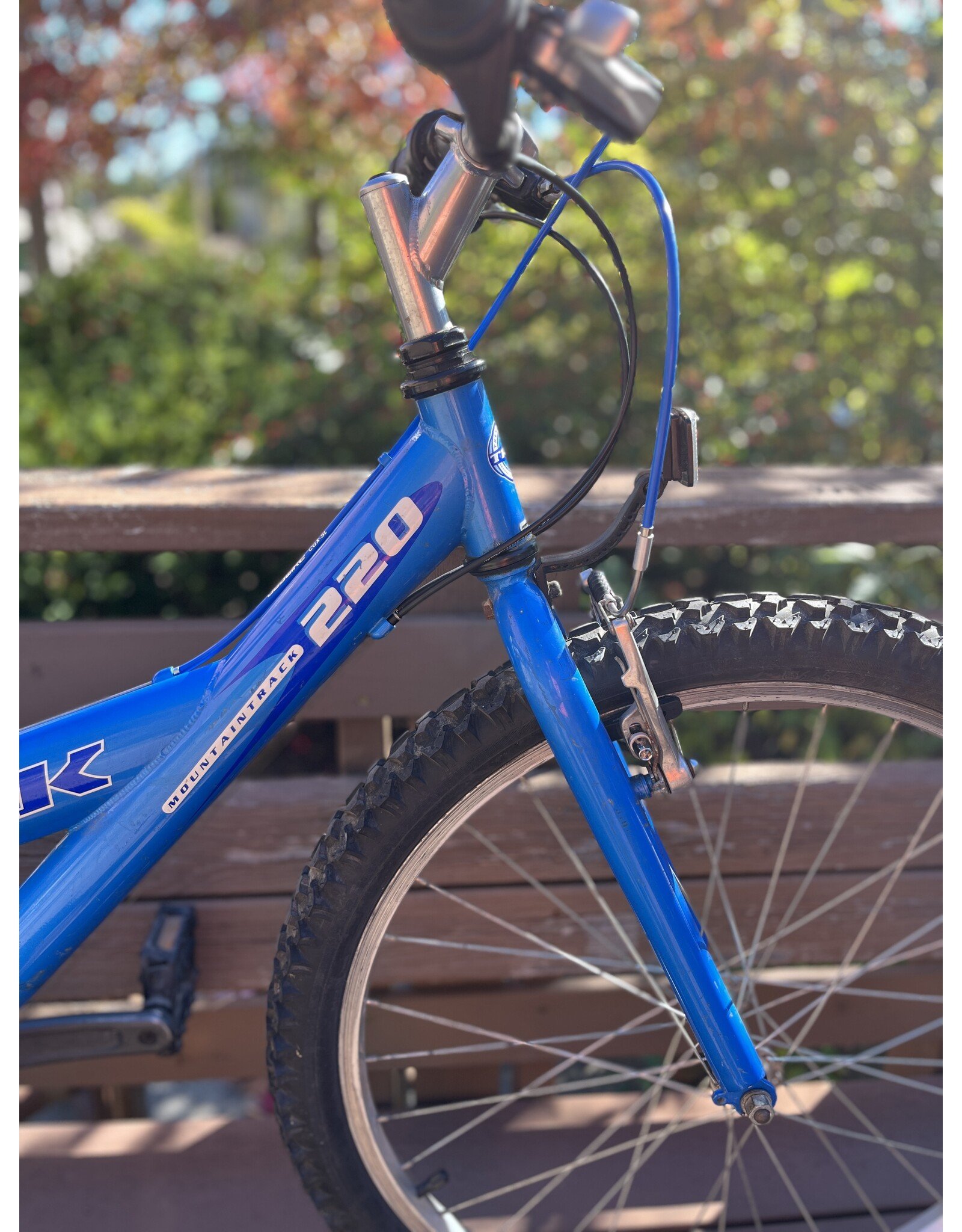 Trek 220, 24 in wheels, blue, Sm