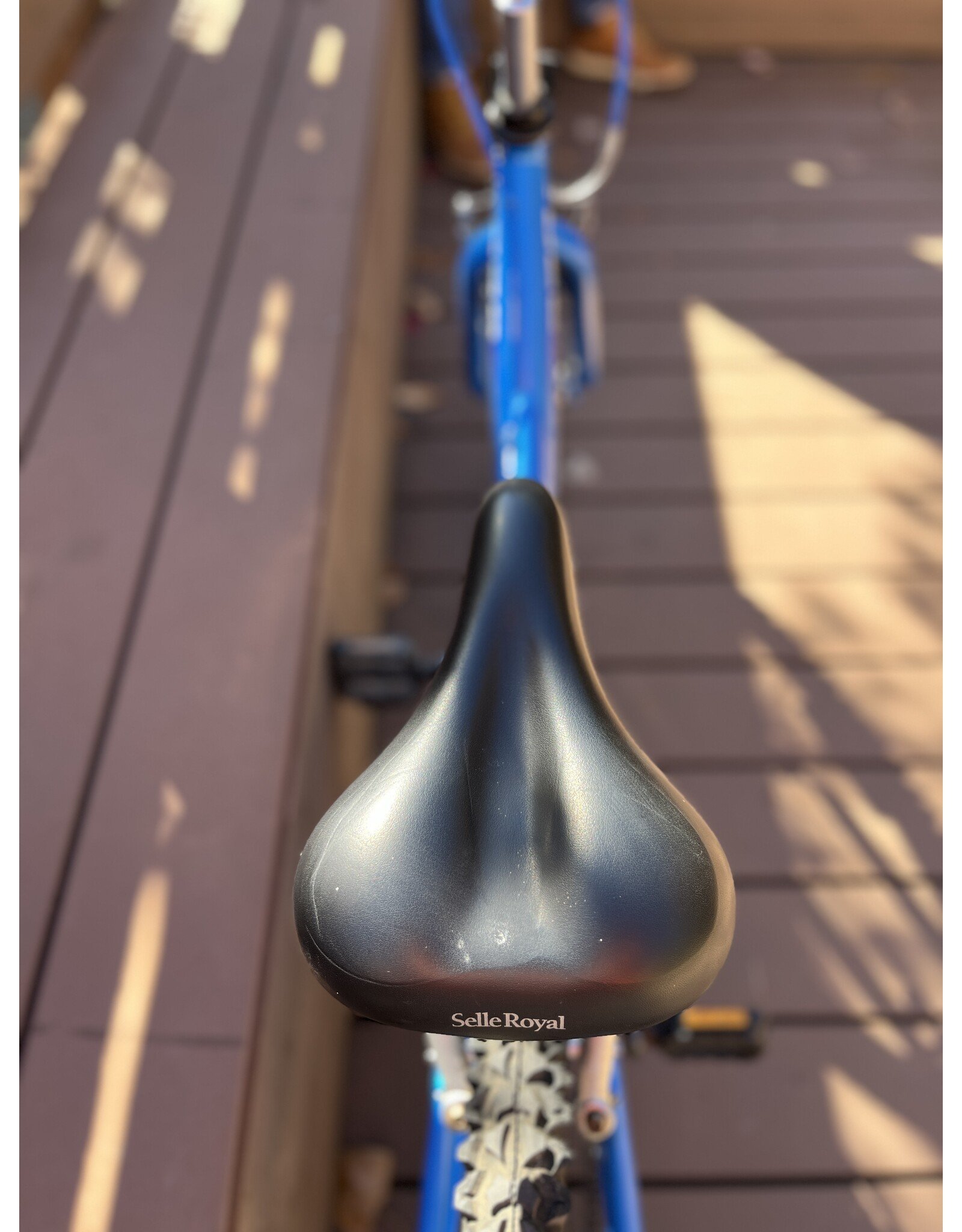 Trek 220, 24 in wheels, blue, Sm