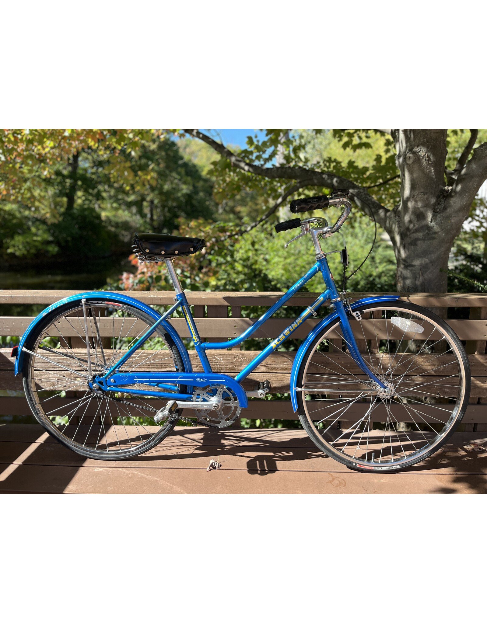 Schwinn, Collegiate, 17in/M, Blue