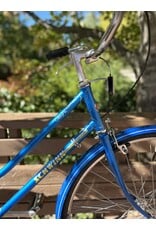 Schwinn, Collegiate, 17in/M, Blue