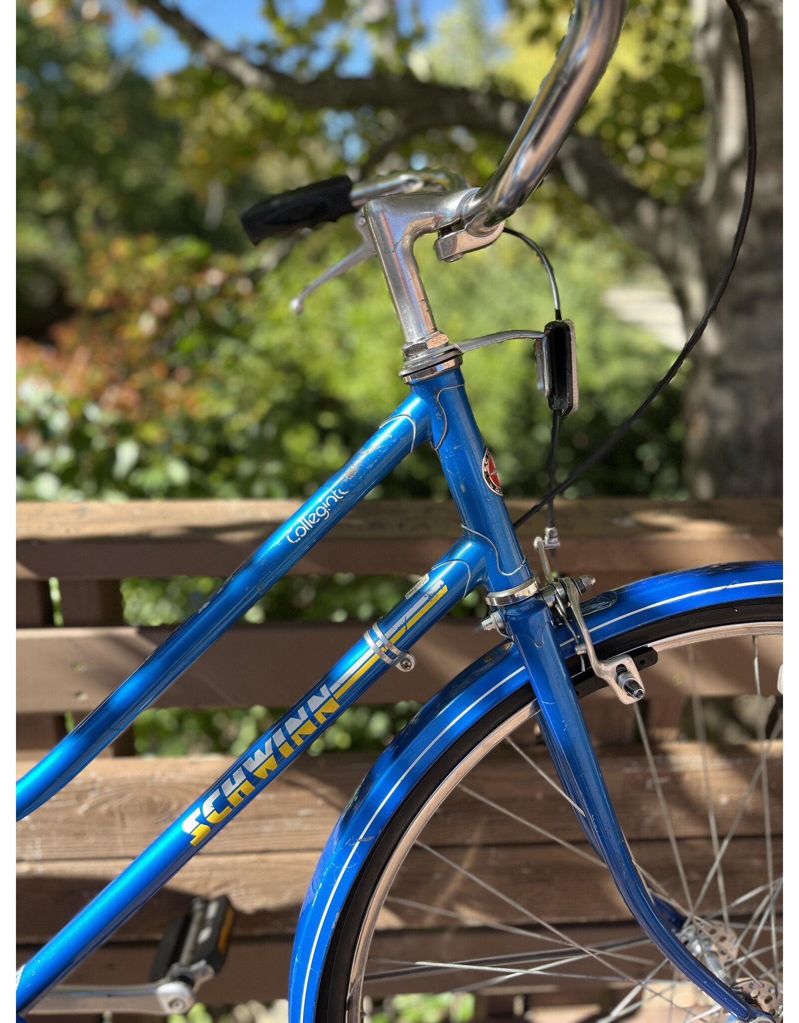 Schwinn, Collegiate, 17in/M, Blue
