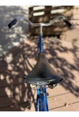 Schwinn, Collegiate, 17in/M, Blue