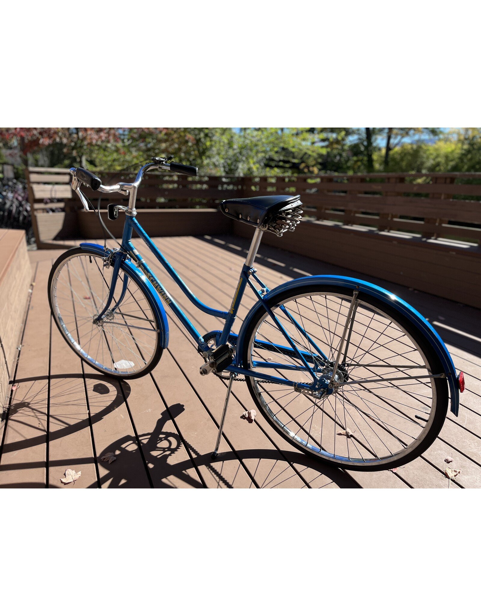 Schwinn, Collegiate, 17in/M, Blue
