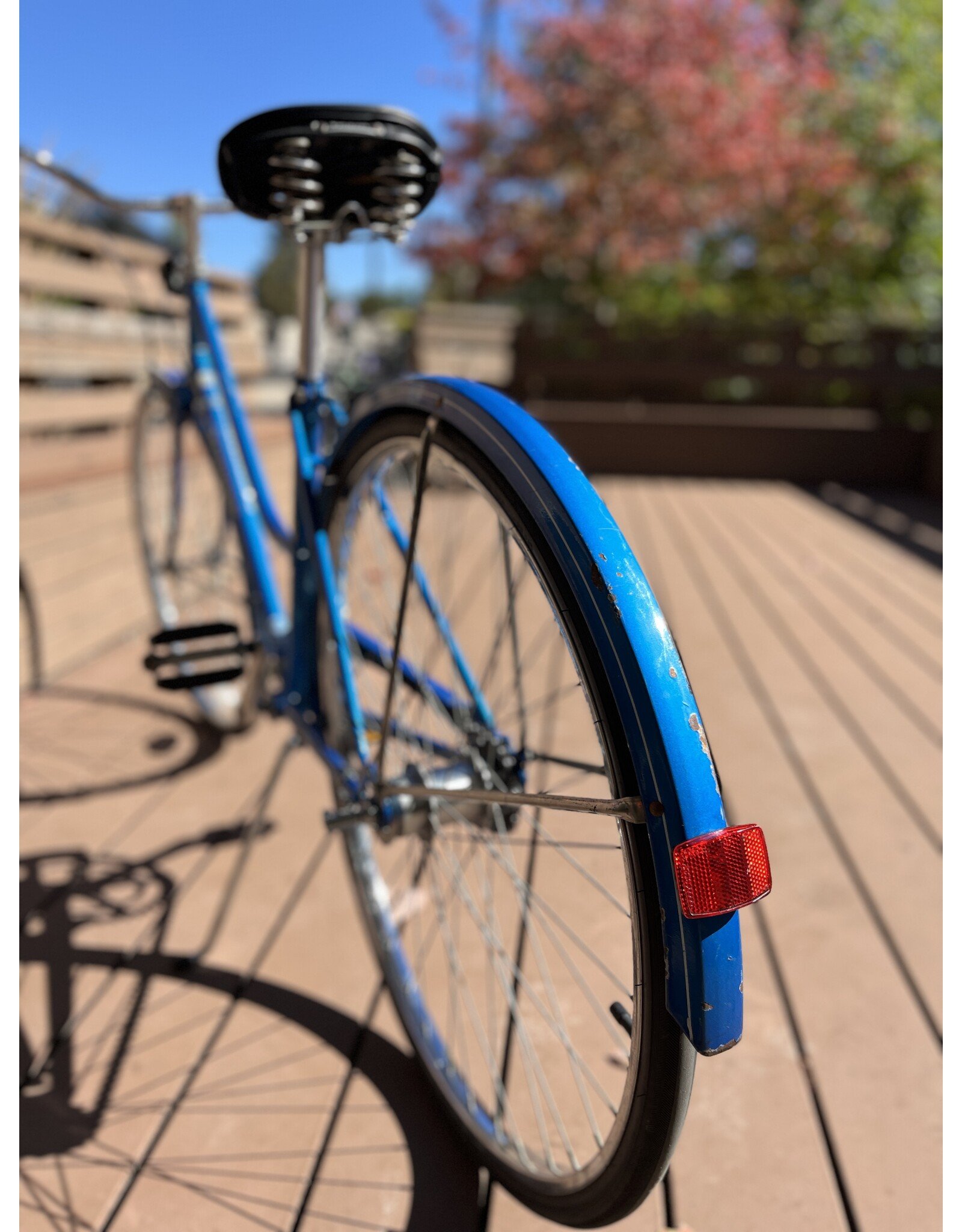 Schwinn, Collegiate, 17in/M, Blue