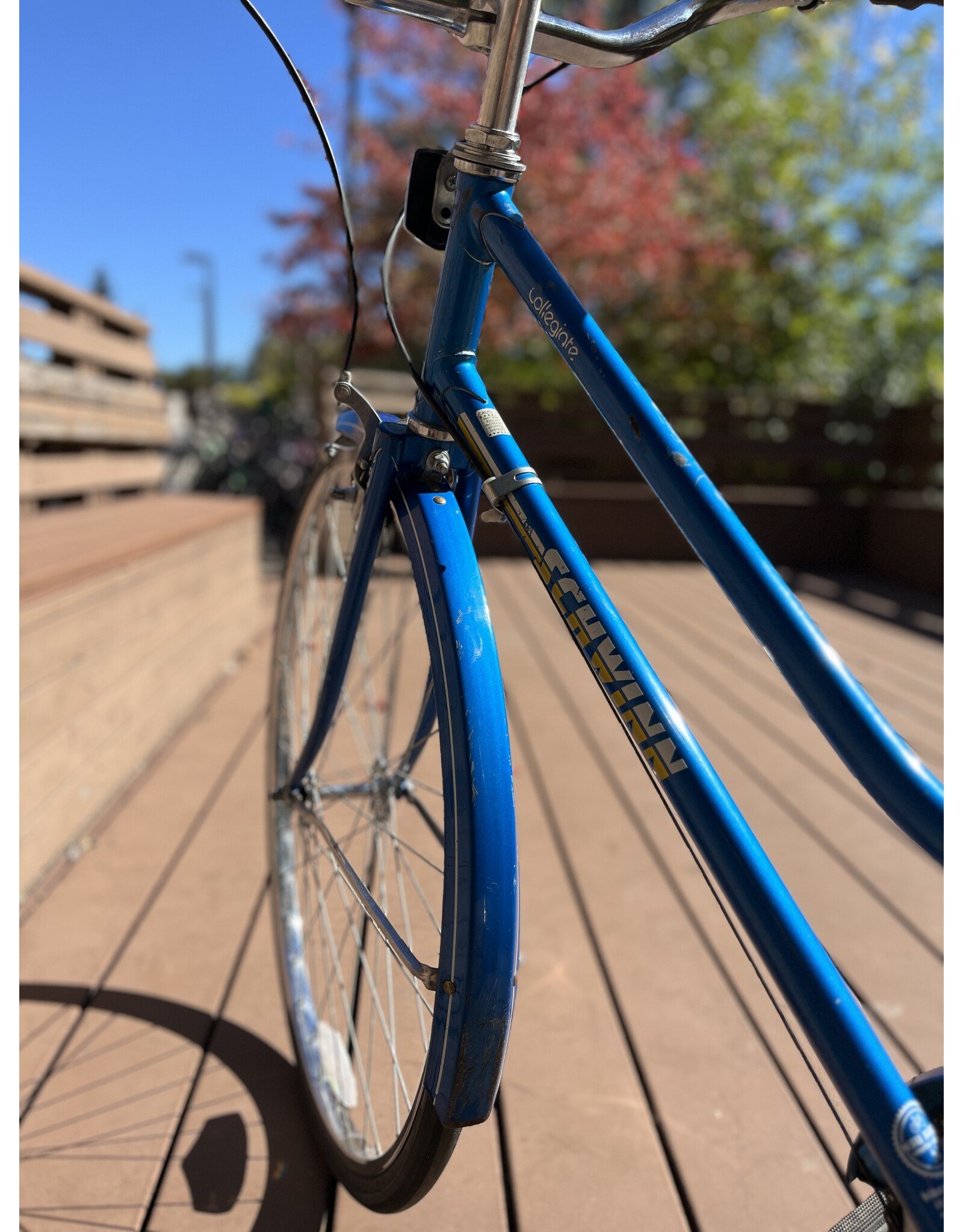 Schwinn, Collegiate, 17in/M, Blue