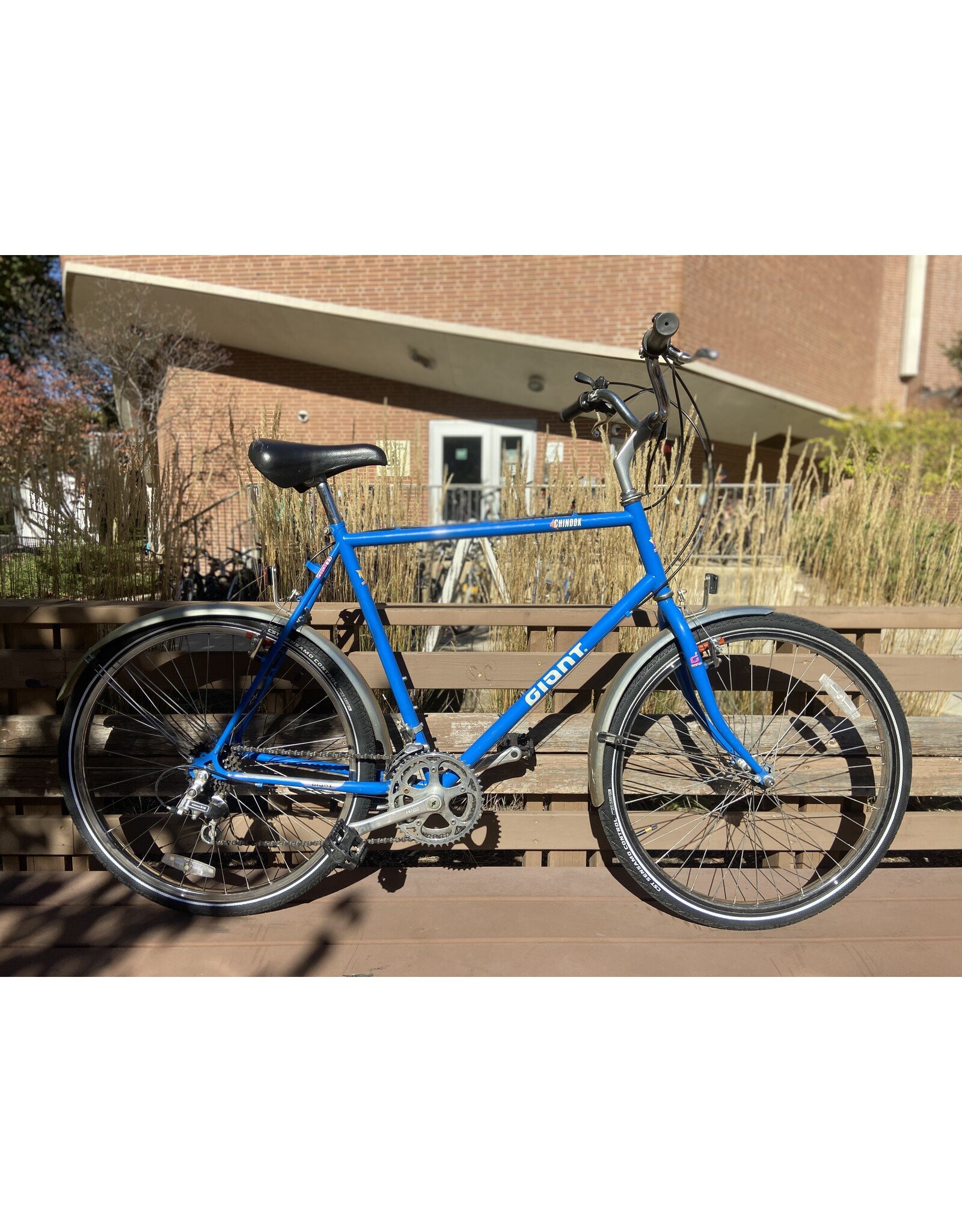 Giant, Chinook, 23/XL, Blue