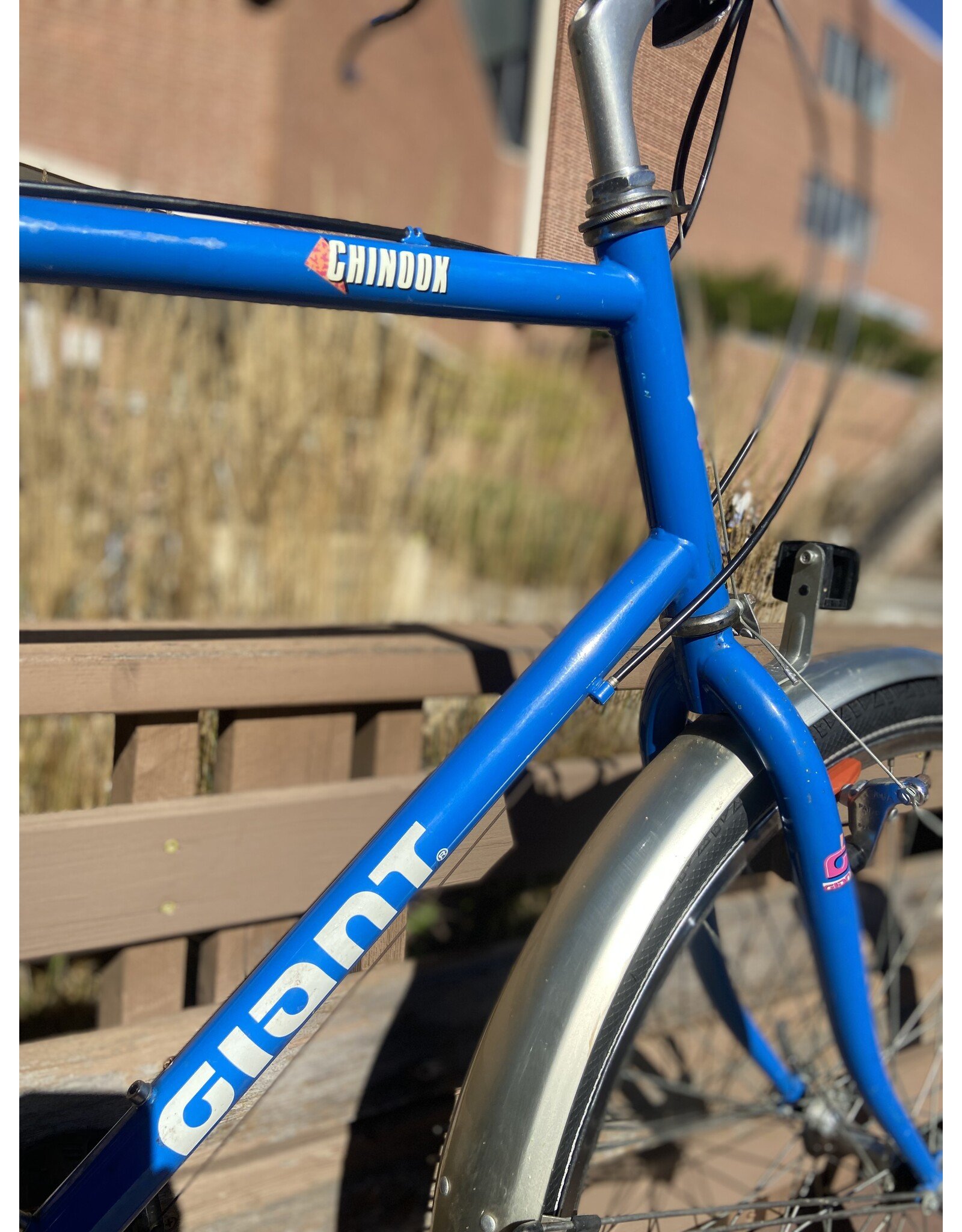 Giant, Chinook, 23/XL, Blue