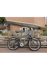 Giant Sedona DX, Gray/Blue, 17in/M