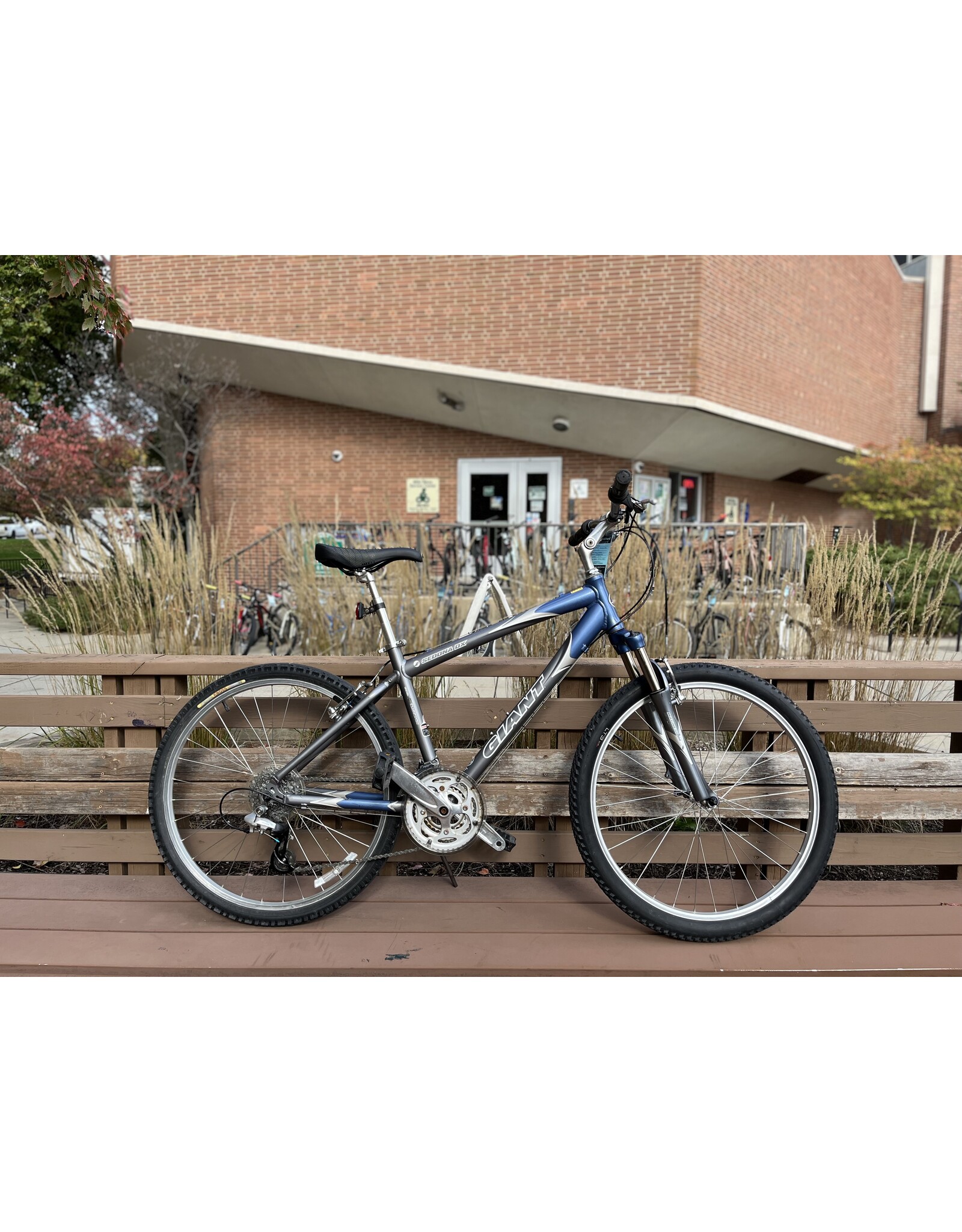 Giant Sedona DX, Gray/Blue, 17in/M