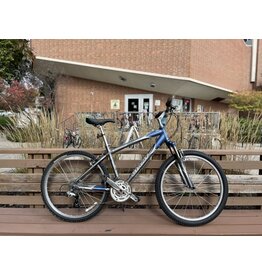 Giant Sedona DX, Gray/Blue, 17in/M