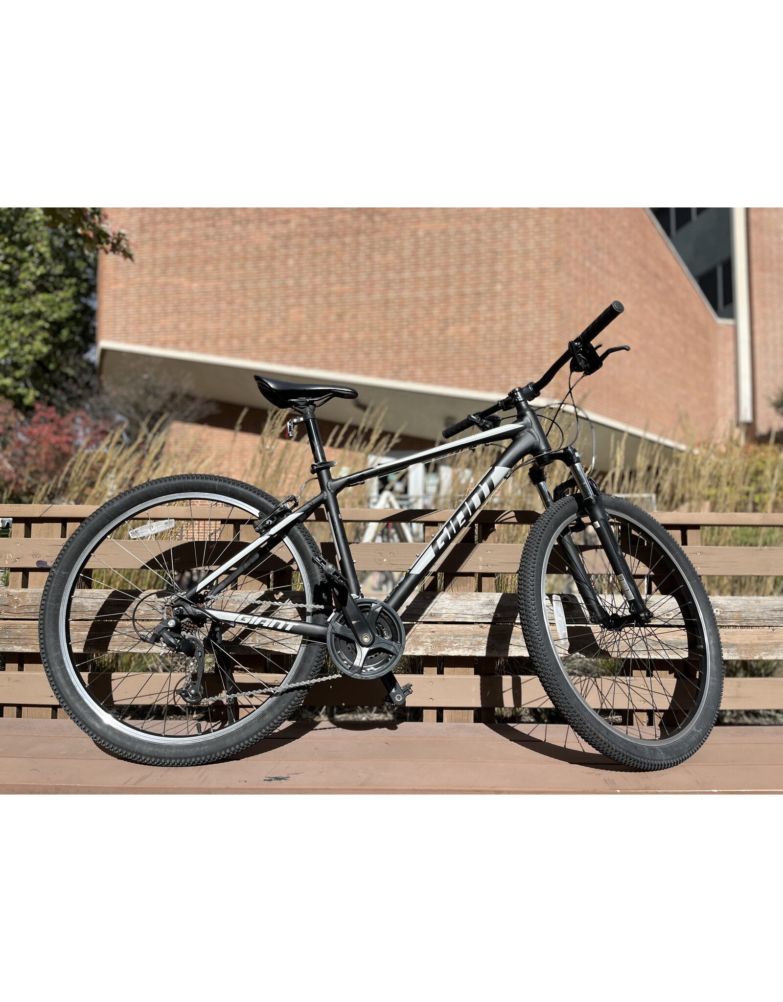 Giant ATX, Black/White, 18in/L