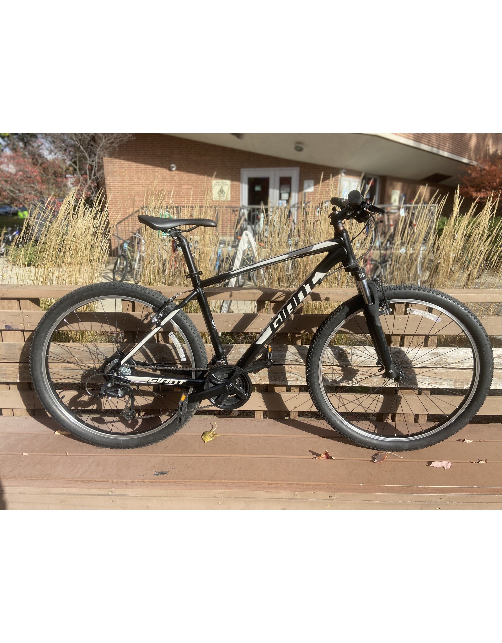 Giant, ATX, Black, 18in/M