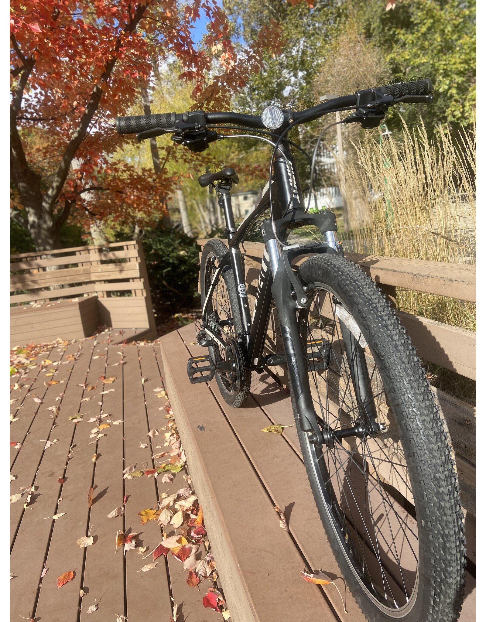 Giant, ATX, Black, 18in/M