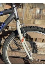 Raleigh, M40, GRAY, 16/S