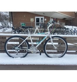 Raleigh Technium, White, 17in/M