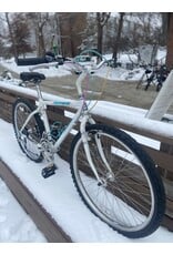 Raleigh Technium, White, 17in/M