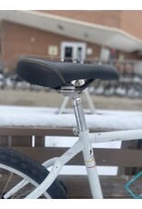 Raleigh Technium, White, 17in/M