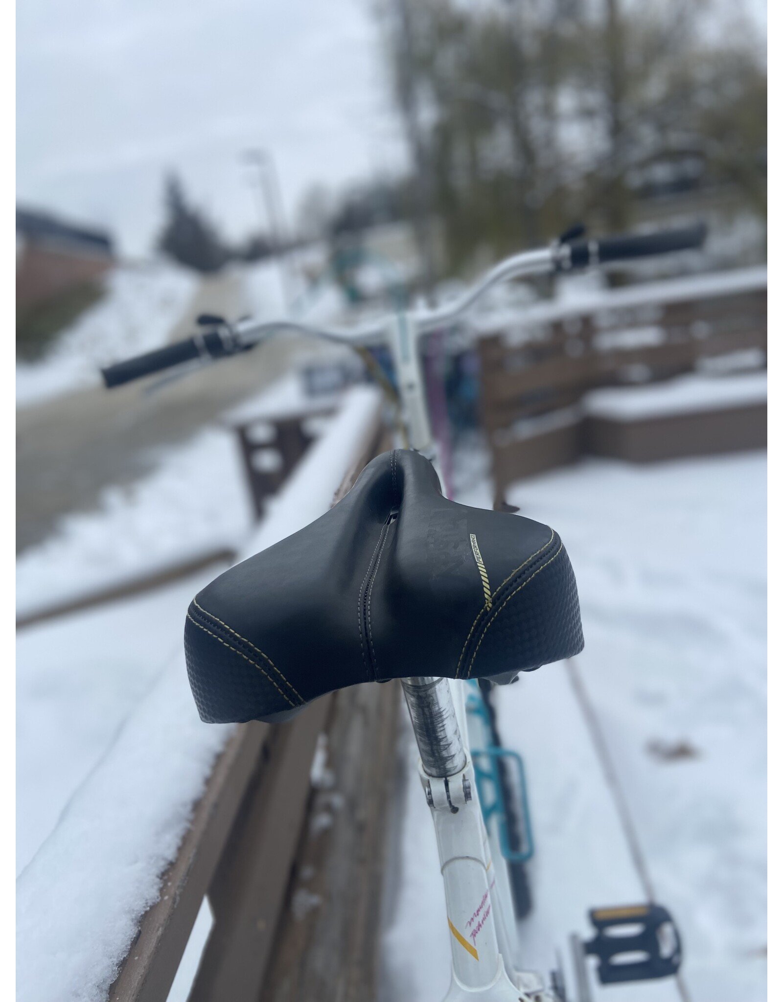 Raleigh Technium, White, 17in/M