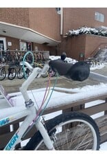 Raleigh Technium, White, 17in/M