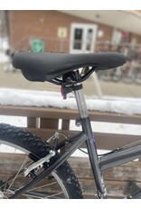 Raleigh, M30, 16/S, Grey