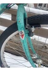 Schwinn, Woodlands, 21in/XL, Celeste