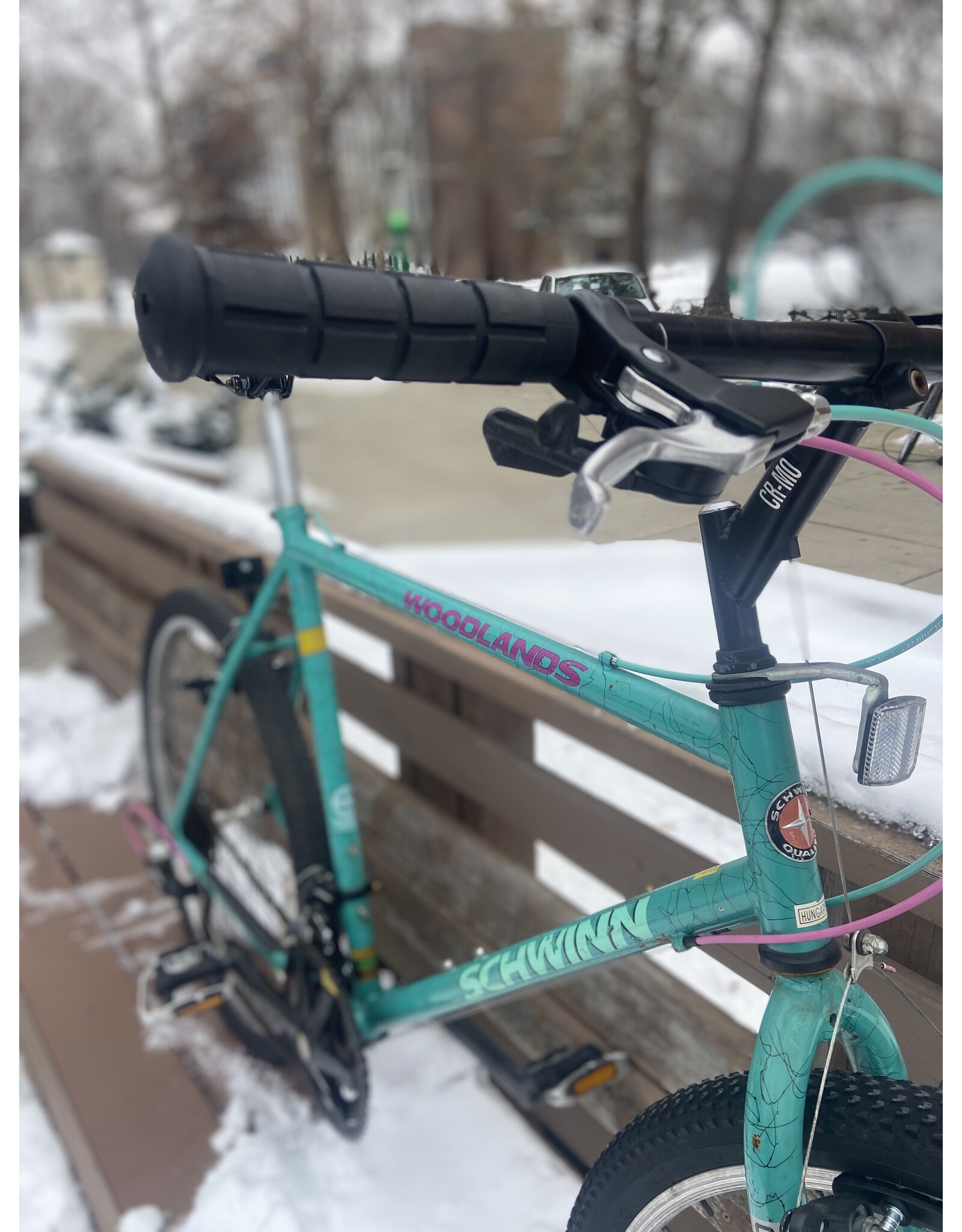 Schwinn, Woodlands, 21in/XL, Celeste