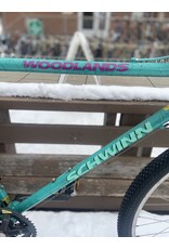 Schwinn, Woodlands, 21in/XL, Celeste