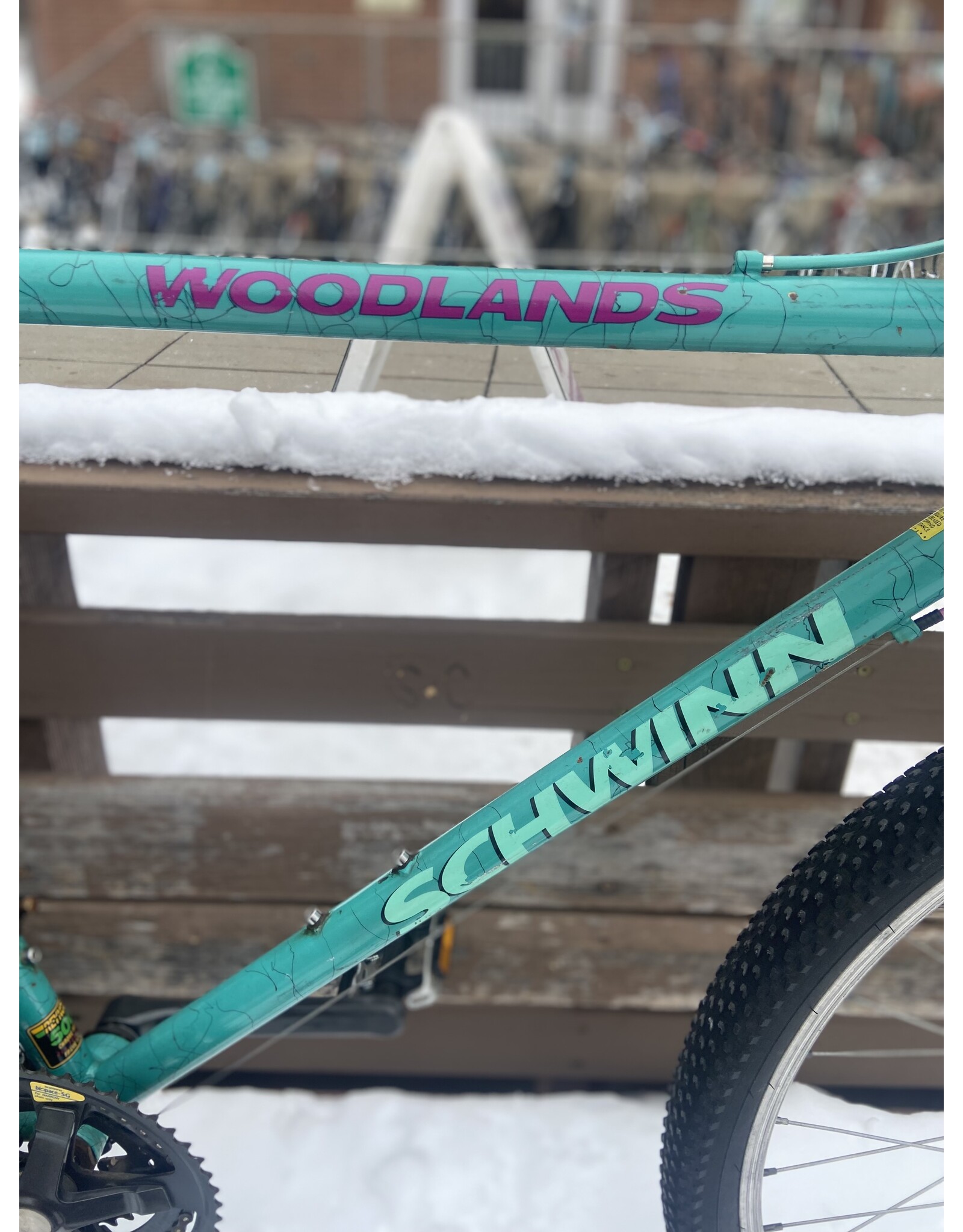 Schwinn, Woodlands, 21in/XL, Celeste