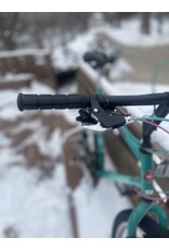 Schwinn, Woodlands, 21in/XL, Celeste