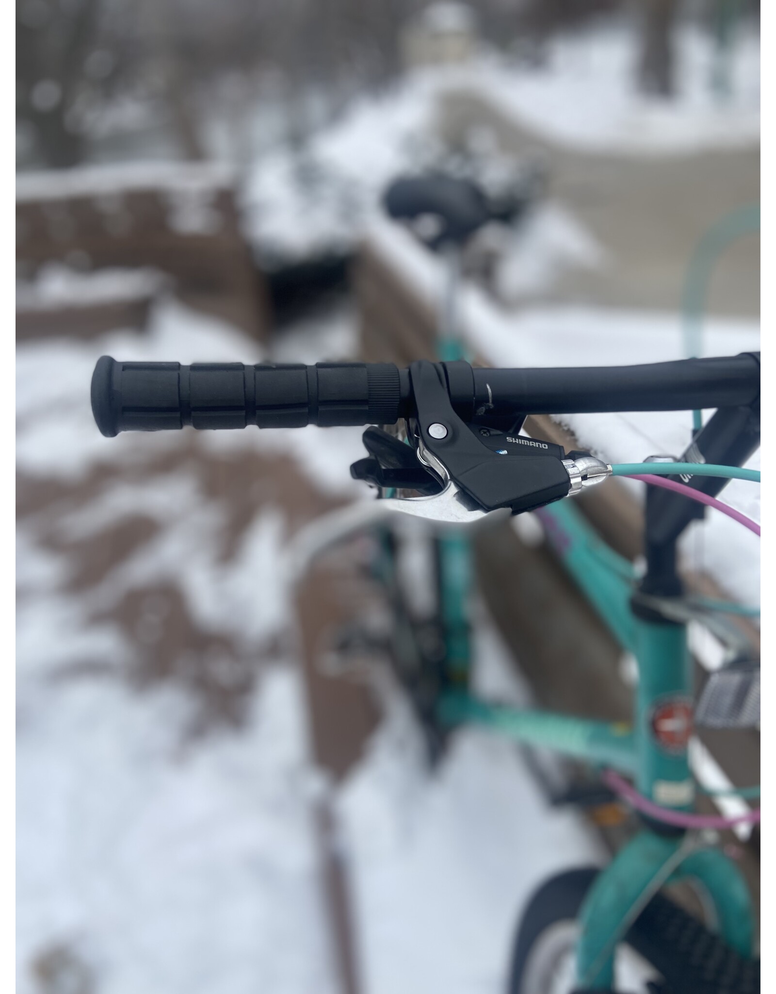 Schwinn, Woodlands, 21in/XL, Celeste