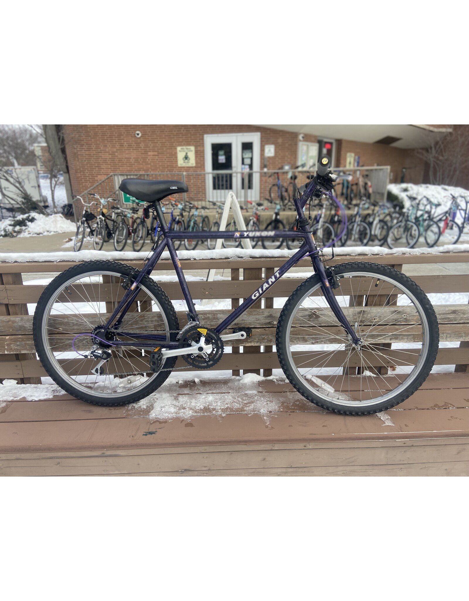 Giant, Yukon, Purple, 21/L
