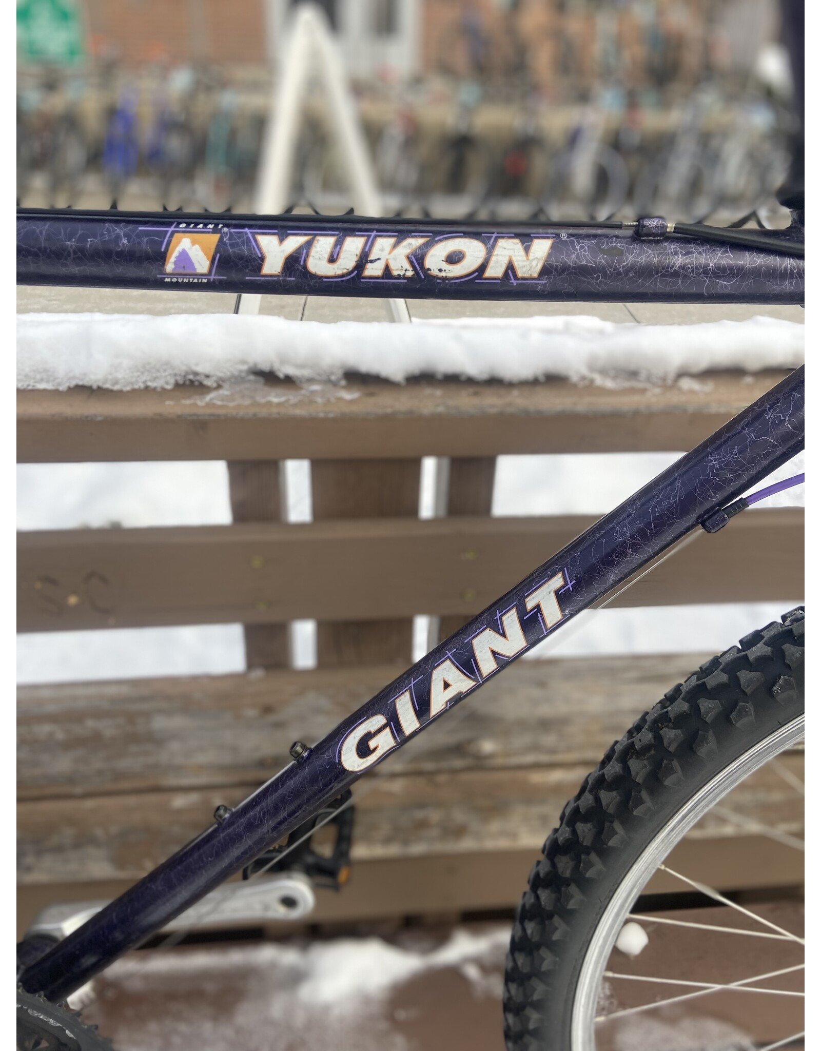 Giant, Yukon, Purple, 21/L