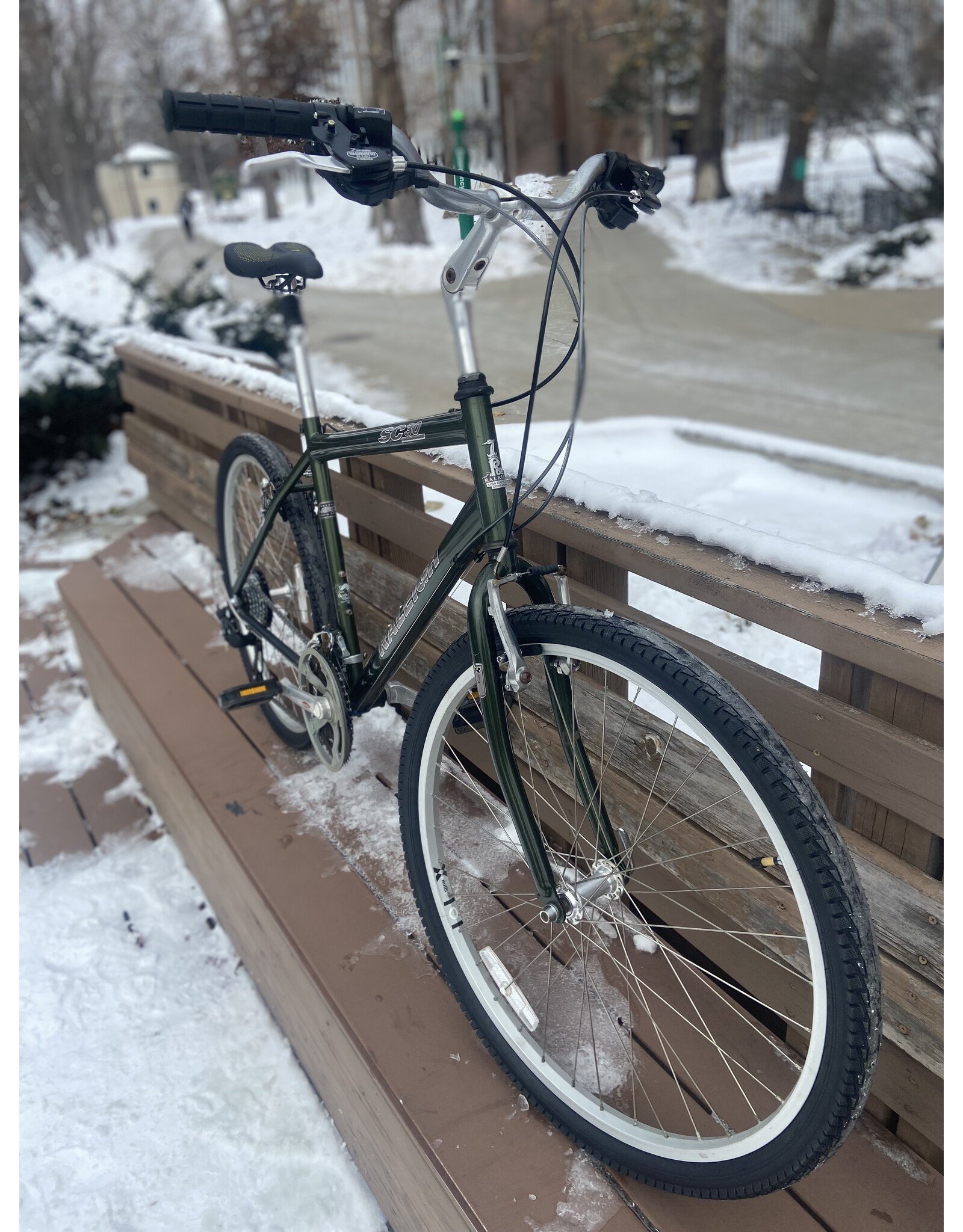 Raleigh, SC30, Green, 17in/M