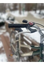 Schwinn, Sierra, Sil/Grn, 15 in/S