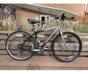 schwinn trailblazer bicycle trailer Schwinn Trailblazer Bike Trailer Review