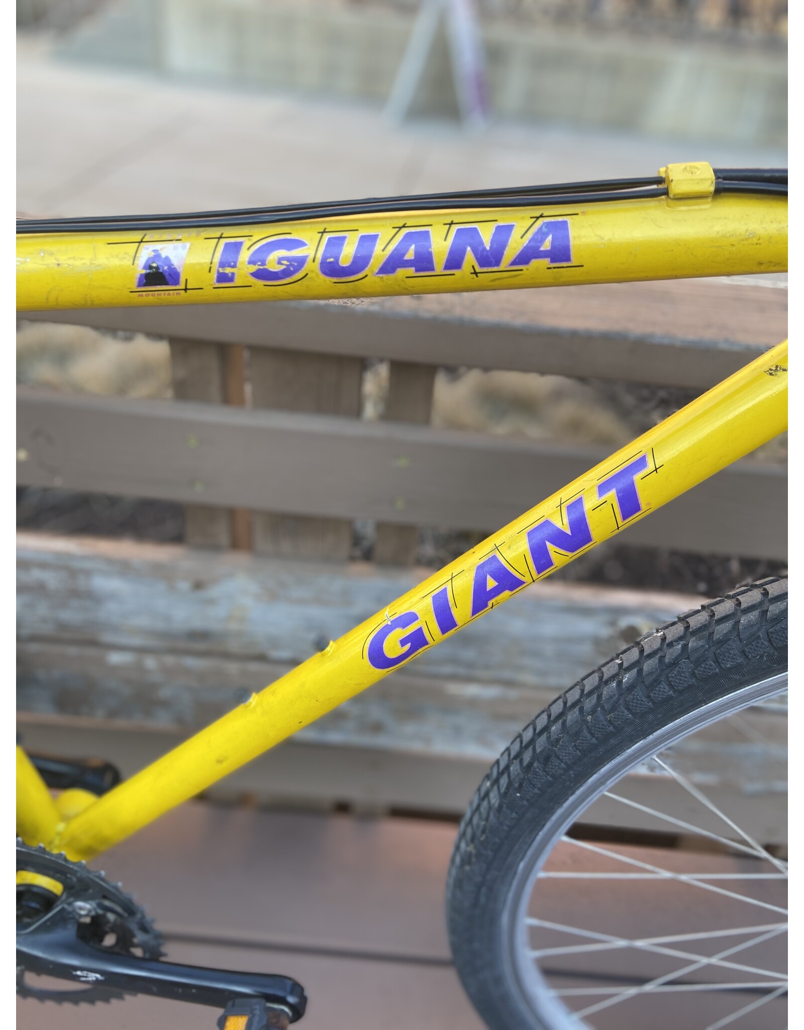 Giant, Iguana, 17.5/M, Yellow