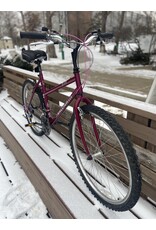 Raleigh, M-20, 18.5/M, Maroon