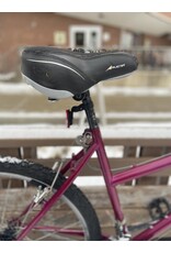Raleigh, M-20, 18.5/M, Maroon