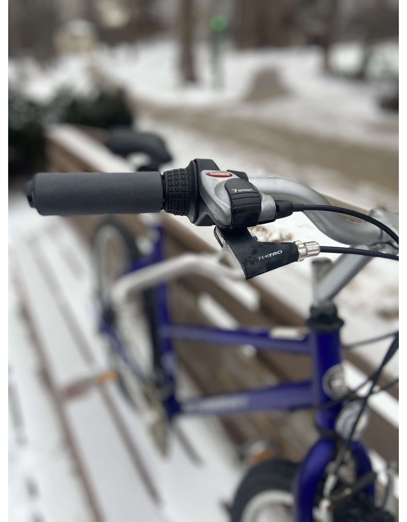 Schwinn, Frontier, Blue, 19/L (Step-thru)