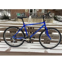 Schwinn, Fronter, Blue, 19.5/L