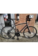 Raleigh Alysa 2, Gray, 20in/M