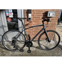 Raleigh Alysa 2, Gray, 20in/M
