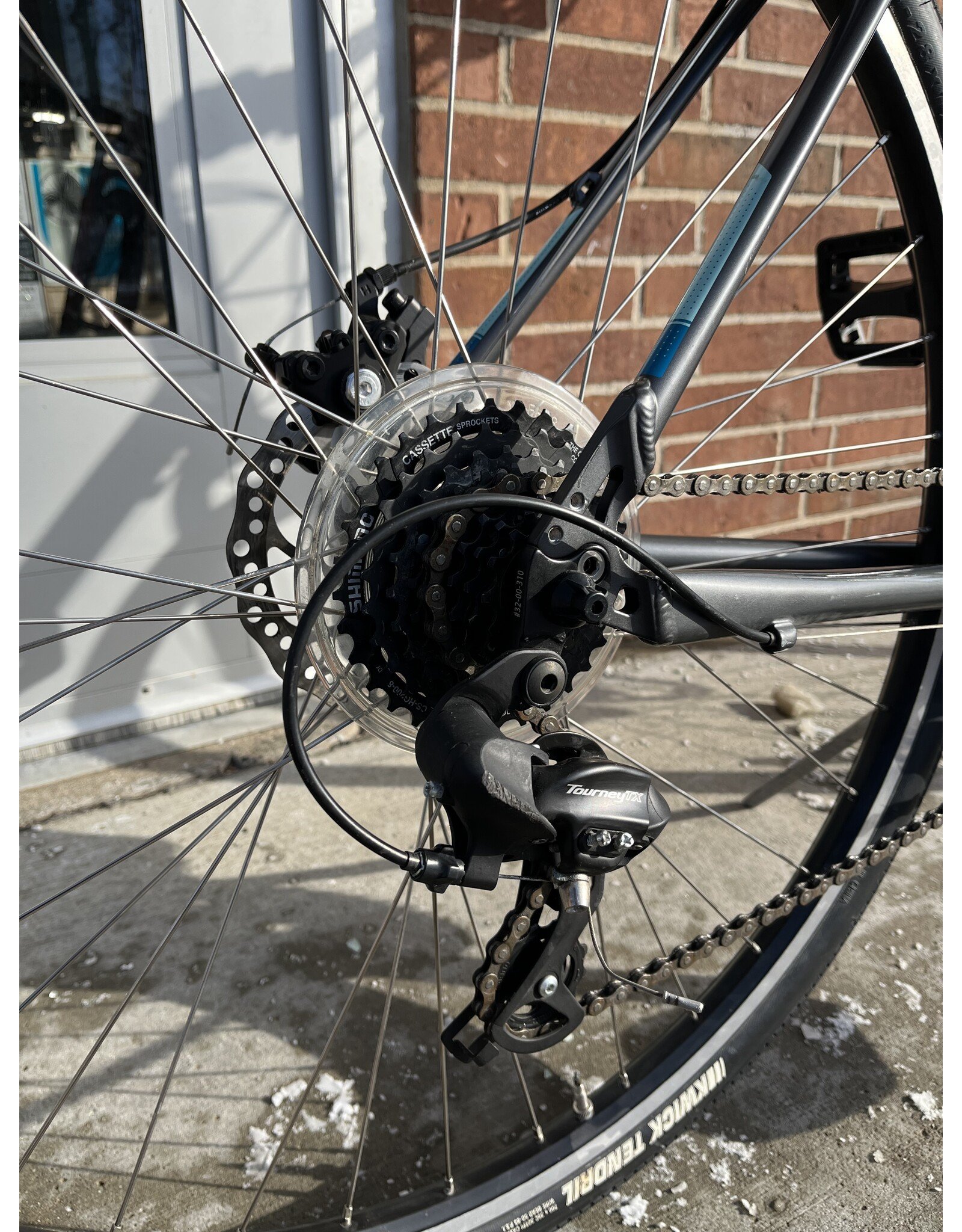 Raleigh Alysa 2, Gray, 20in/M