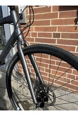 Raleigh Alysa 2, Gray, 20in/M