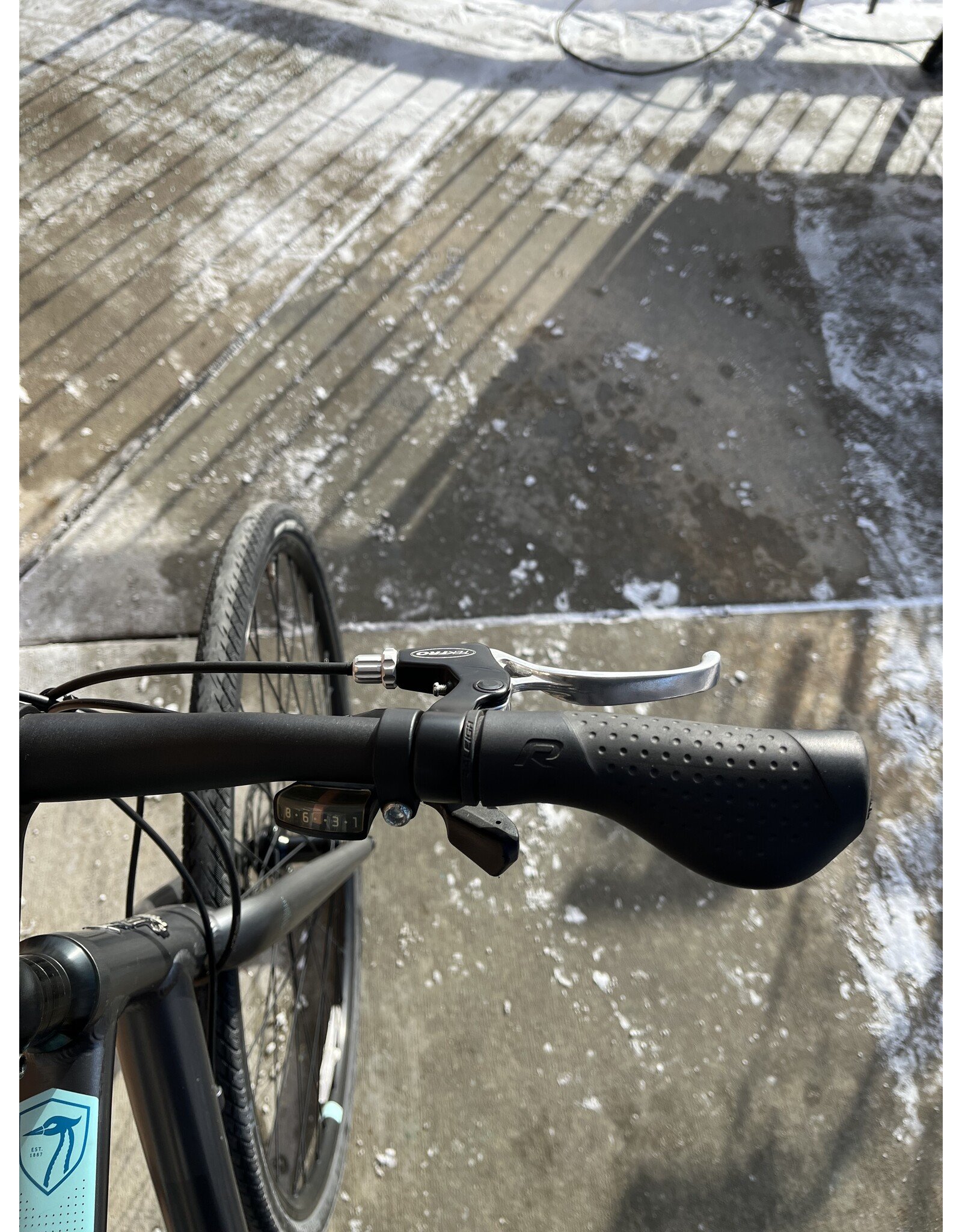 Raleigh Alysa 2, Gray, 20in/M