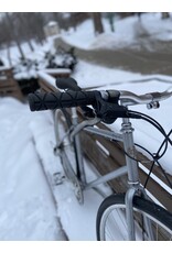 Detroit Bikes, Cortello, Silver, 19in/M (USED)