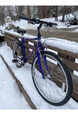 Schwinn, High Plains, Blueberry, 17/M