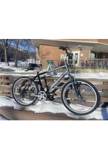 Diamondback, Wildwood, Gray/Black, 19in/L