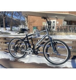 Diamondback, Wildwood, Gray/Black, 19in/L