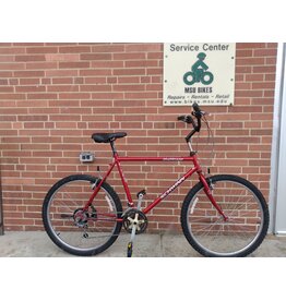 Schwinn, Hurricane, 21in/XL